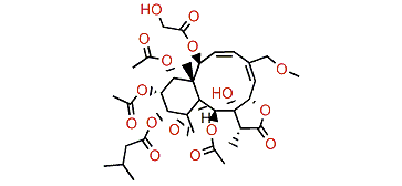 Gemmacolide AB